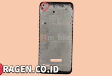 batch 1775297548 article 76 watermarked 1