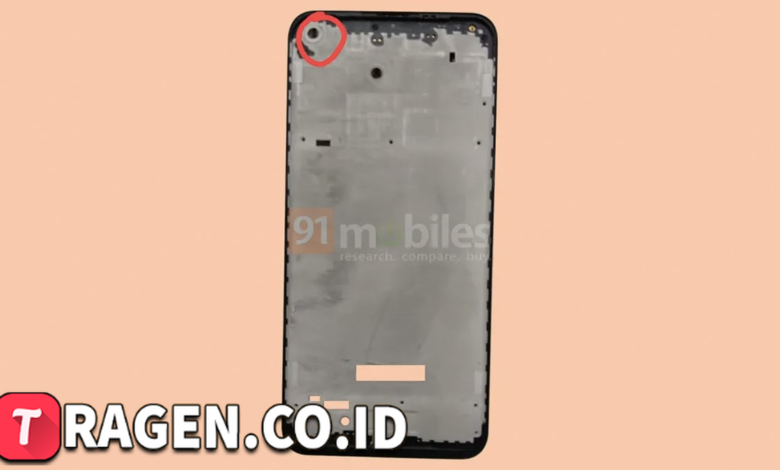 batch 1775297548 article 76 watermarked 1