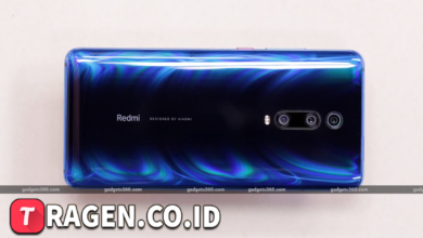 batch 1775297548 article 77 watermarked 1