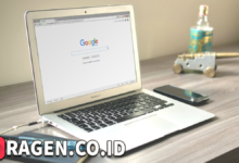 batch 1775297548 article 78 watermarked 1