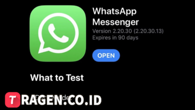 batch 1775297548 article 80 watermarked 1