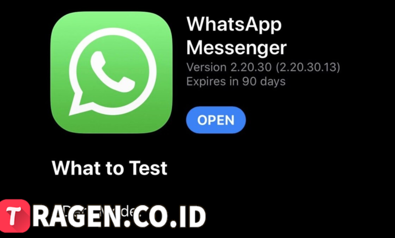 batch 1775297548 article 80 watermarked 1