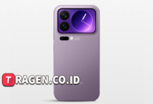 batch 1775297548 article 81 watermarked