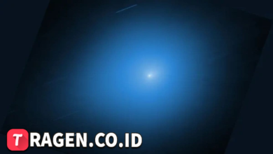 batch 1775297548 article 87 watermarked