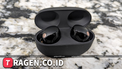 batch 1775297548 article 89 watermarked