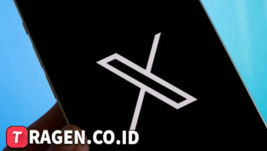 batch 1775297548 article 8 watermarked