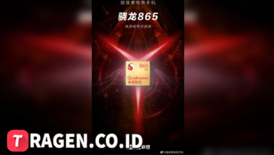 batch 1775297548 article 91 watermarked 1