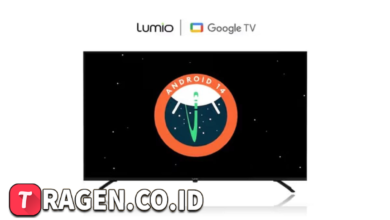 batch 1775297548 article 91 watermarked