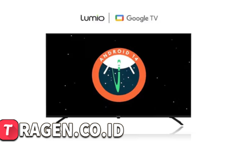 batch 1775297548 article 91 watermarked