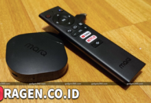 batch 1775297548 article 92 watermarked 1