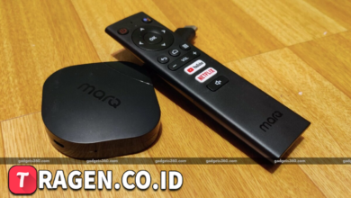 batch 1775297548 article 92 watermarked 1