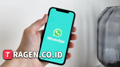 batch 1775297548 article 93 watermarked