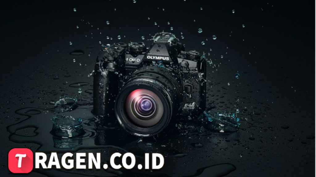 batch 1775297548 article 94 watermarked 1