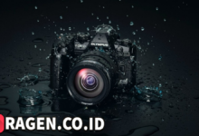 batch 1775297548 article 94 watermarked 1