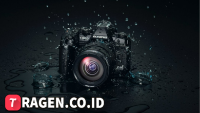 batch 1775297548 article 94 watermarked 1