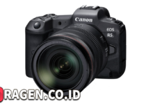 batch 1775297548 article 96 watermarked 1