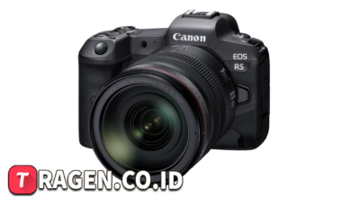 batch 1775297548 article 96 watermarked 1