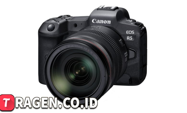 batch 1775297548 article 96 watermarked 1