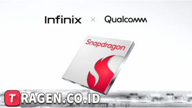 batch 1775297548 article 98 watermarked