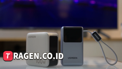 batch 1775297548 article 9 watermarked 4