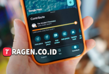 batch 1775297548 article 9 watermarked 5