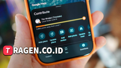 batch 1775297548 article 9 watermarked 5